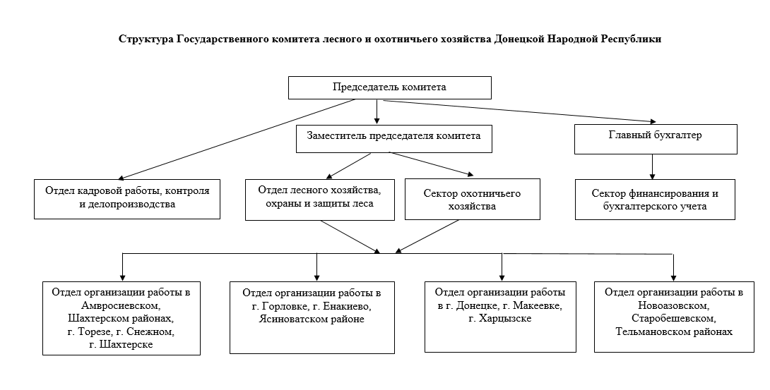 Схема власти в днр